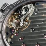 Lange 1 Back